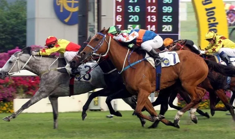 Đua Ngựa H3BET: Bí Kíp Cược Thắng, Nhận Thưởng Lớn! 2 Cá cược Đua Ngựa hấp dẫn tại H3BET